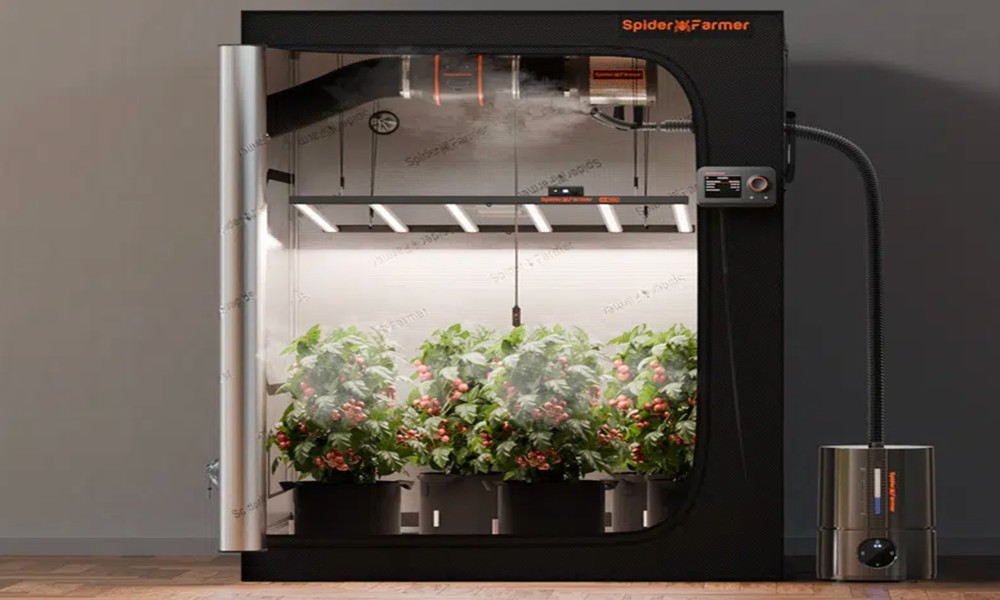 Master Your Grow: Why a Grow Room Controller is Essential for LED Grow Lights
